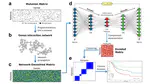 Deep Neural Network Integrated into Network-Based Stratification (D3NS): A Method to Uncover Cancer Subtypes from Somatic Mutations